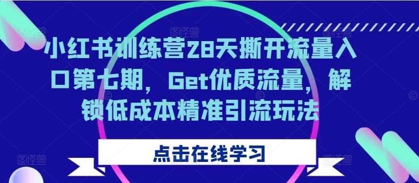 小红书训练营28天撕开流量入口第七期，Get优质流量，解锁低成本精准引流玩法 - 冒泡网赚