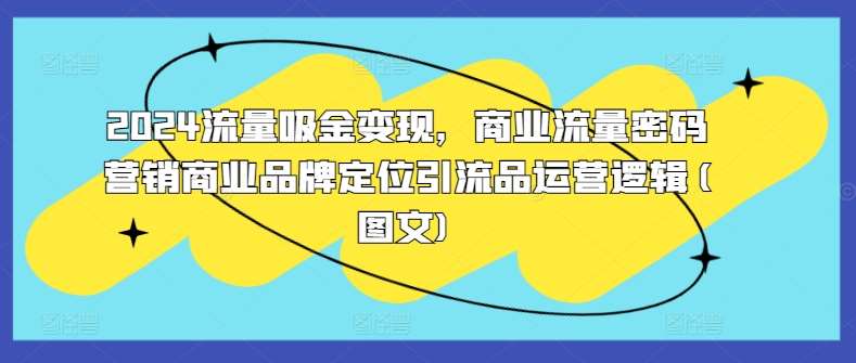 2024流量吸金变现，商业流量密码营销商业品牌定位引流品运营逻辑(图文) - 冒泡网赚
