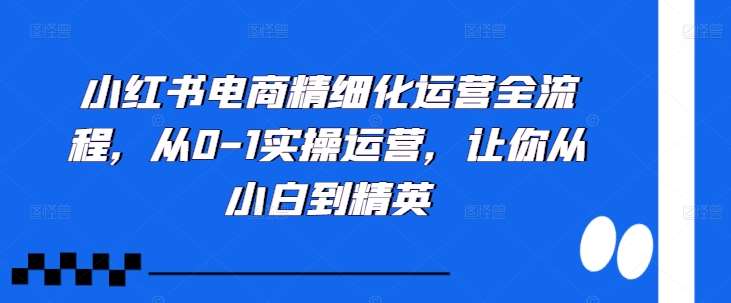 小红书电商精细化运营全流程，从0-1实操运营，让你从小白到精英 - 冒泡网赚