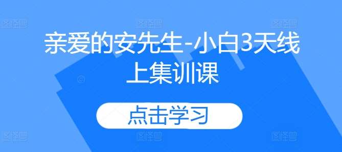 亲爱的安先生-小白3天线上集训课 - 冒泡网赚