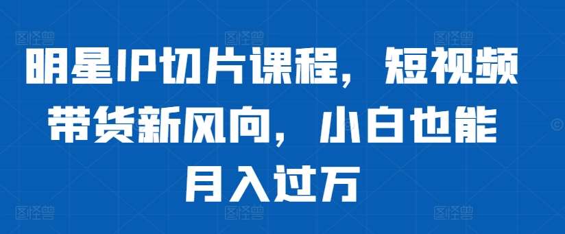 明星IP切片课程，短视频带货新风向，小白也能月入过万 - 冒泡网赚