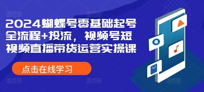 2024蝴蝶号零基础起号全流程+投流，视频号短视频直播带货运营实操课 - 冒泡网赚
