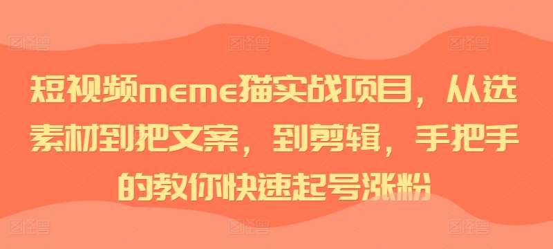 短视频meme猫实战项目，从选素材到把文案，到剪辑，手把手的教你快速起号涨粉 - 冒泡网赚