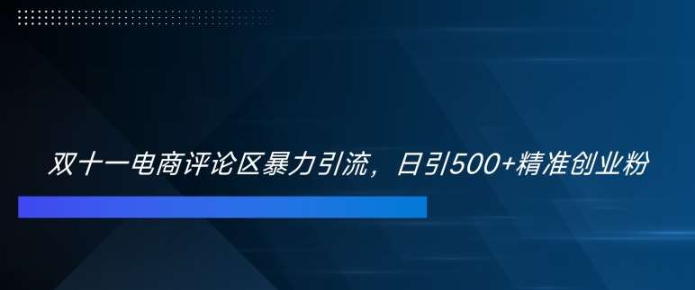 双十一电商评论区暴力引流，日引500+精准创业粉【揭秘】 - 冒泡网赚