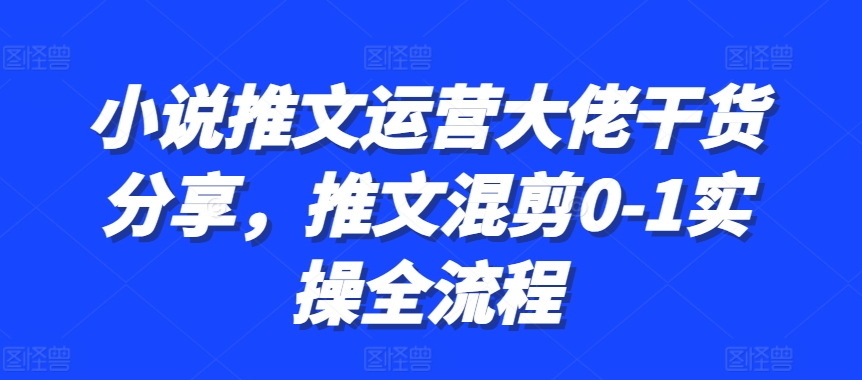 小说推文运营大佬干货分享，推文混剪0-1实操全流程 - 冒泡网赚