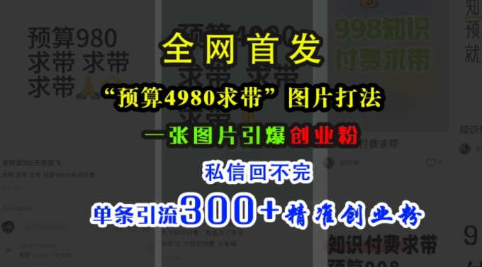 小红书“预算4980带我飞”图片打法，一张图片引爆创业粉，私信回不完，单条引流300+精准创业粉 - 冒泡网赚