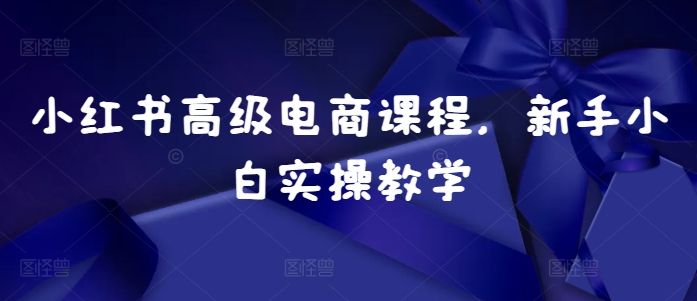 小红书高级电商课程，新手小白实操教学 - 冒泡网赚