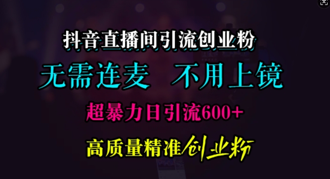 抖音直播间引流创业粉，无需连麦、无需上镜，超暴力日引流600+高质量精准创业粉 - 冒泡网赚