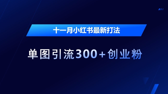 十一月小红书最新打法，单图引流300+创业粉 - 冒泡网赚