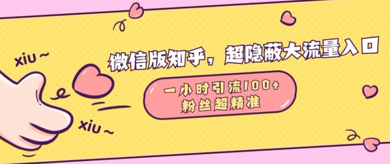 微信版知乎，超隐蔽流量入口1小时引流100人，粉丝质量超高 - 冒泡网赚