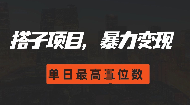 2024搭子玩法，0门槛，暴力变现，单日最高破四位数 - 冒泡网赚