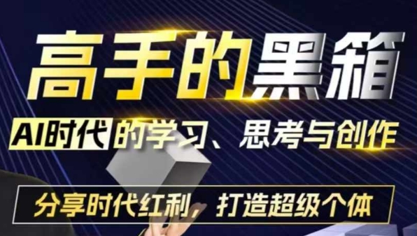 高手的黑箱：AI时代学习、思考与创作-分红时代红利，打造超级个体 - 冒泡网赚