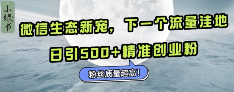 微信生态新宠小绿书：下一个流量洼地，日引500+精准创业粉，粉丝质量超高 - 冒泡网赚