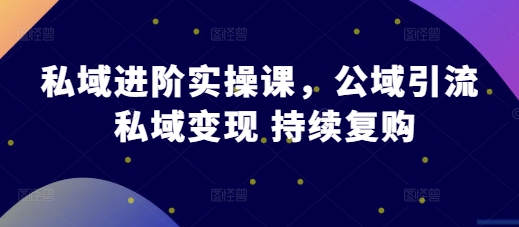 私域进阶实操课，公域引流 私域变现 持续复购 - 冒泡网赚