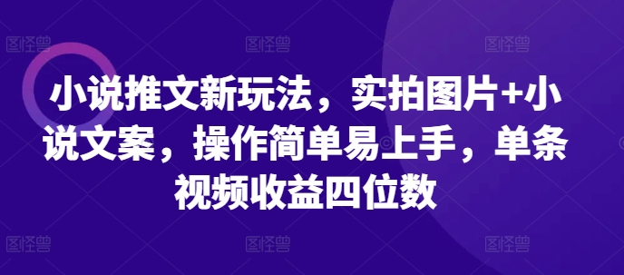 小说推文新玩法，实拍图片+小说文案，操作简单易上手，单条视频收益四位数 - 冒泡网赚