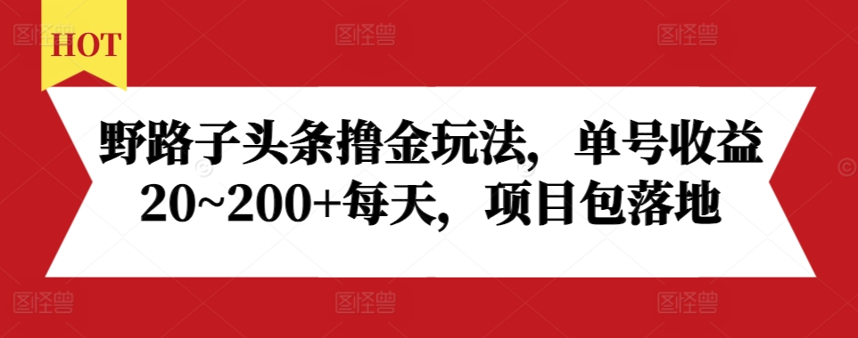 野路子头条撸金玩法，单号收益20~200+每天，项目包落地 - 冒泡网赚