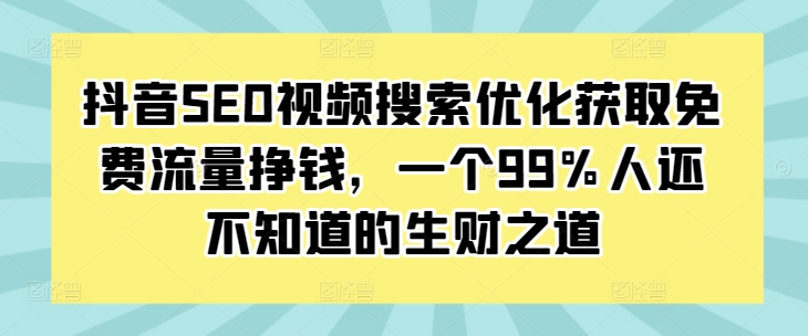 抖音SEO视频搜索优化获取免费流量挣钱，一个99%人还不知道的生财之道 - 冒泡网赚