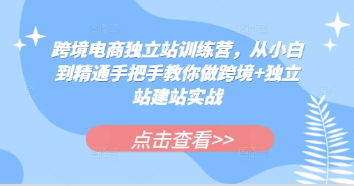 跨境电商独立站训练营，从小白到精通手把手教你做跨境+独立站建站实战 - 冒泡网赚