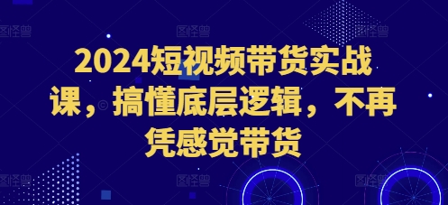 2024短视频带货实战课，搞懂底层逻辑，不再凭感觉带货 - 冒泡网赚