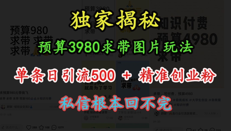 预算3980求带 图片玩法，单条日引流500+精准创业粉，私信根本回不完 - 冒泡网赚