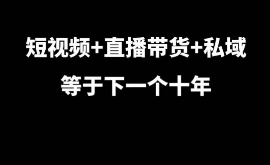 短视频+直播带货+私域等于下一个十年，大佬7年实战经验总结 - 冒泡网赚