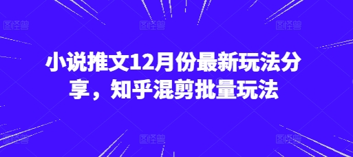 小说推文12月份最新玩法分享，知乎混剪批量玩法 - 冒泡网赚