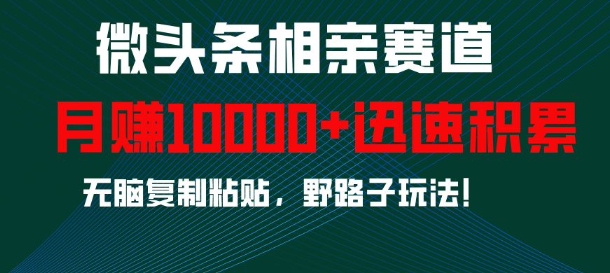 微头条相亲赛道，迅速积累，无脑复制粘贴，野路子玩法，月入1w - 冒泡网赚