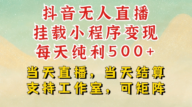 抖音无人直播挂载小程序变现每天纯利500+当天直播，当天结算支持工作室，可矩阵 - 冒泡网赚
