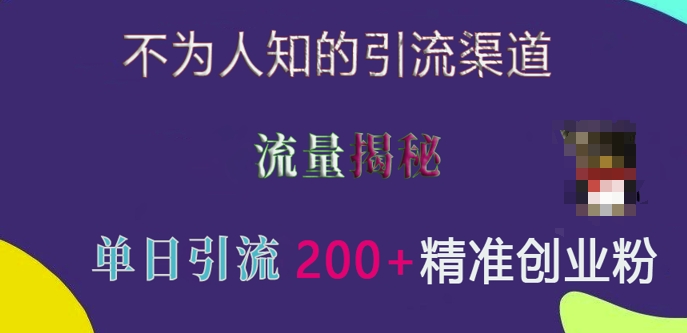 不为人知的引流渠道，流量揭秘，实测单日引流200+精准创业粉 - 冒泡网赚