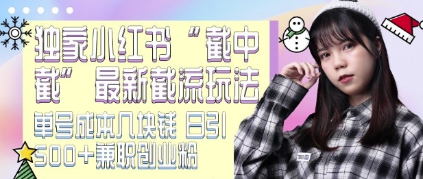 最新小红书截流玩法 独家截中截 单号成本几块钱 日引500+CY粉JZ粉 - 冒泡网赚