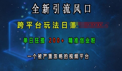全新引流风口，跨平台玩法日入上k，单日狂揽200+精准创业粉，一个被严重忽略的视频平台 - 冒泡网赚