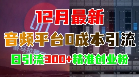 12月最新：音频平台0成本引流，日引流300+精准创业粉 - 冒泡网赚