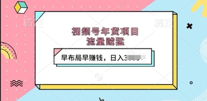 视频号年货项目，流量贼猛，早布局早挣钱，日入上k - 冒泡网赚