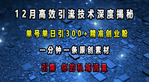 最新高效引流技术深度揭秘 ，单号单日引300+精准创业粉，一分钟一条原创素材，引爆你的私域流量 - 冒泡网赚