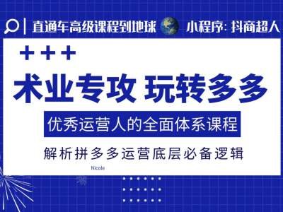 术业专攻玩转多多，优秀运营人的全面体系课程，解析拼多多运营底层必备逻辑 - 冒泡网赚