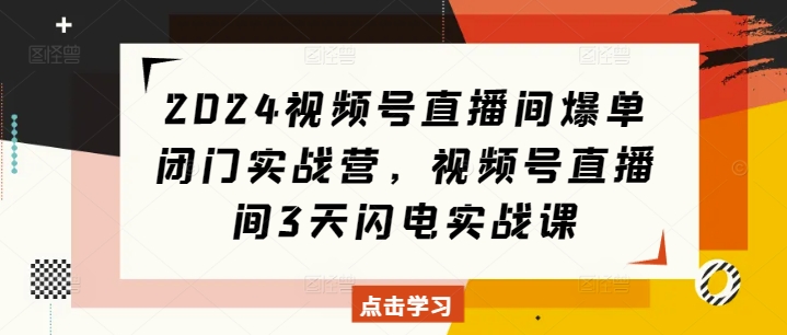 2024视频号直播间爆单闭门实战营，视频号直播间3天闪电实战课 - 冒泡网赚