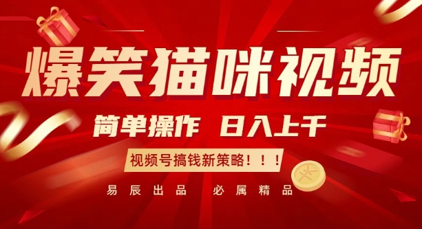 爆笑猫咪视频：简单操作，日入过K，视频号搞钱新策略 - 冒泡网赚