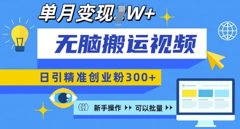 无脑搬运视频号可批量复制，新手即可操作，日引精准创业粉300+，月变现过W - 冒泡网赚