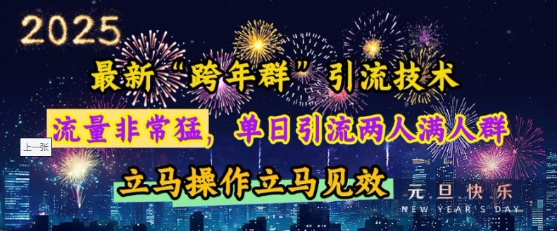 最新“跨年群”引流，流量非常猛，单日引流两人满人群，立马操作立马见效 - 冒泡网赚