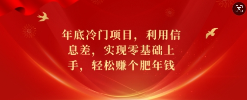 年底冷门项目，利用信息差，实现零基础上手，轻松赚个肥年钱 - 冒泡网赚