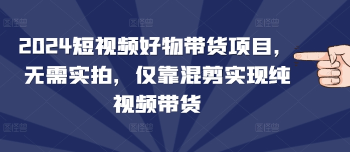 2024短视频好物带货项目，无需实拍，仅靠混剪实现纯视频带货 - 冒泡网赚