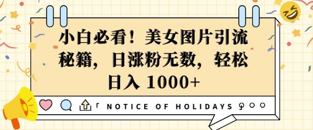 小白必看，美女图片引流秘籍，日涨粉无数，轻松日入几张 - 冒泡网赚