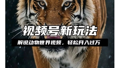 利用动物世界解说视频，赚分成计划收益，轻松月入过W，操作简单 - 冒泡网赚
