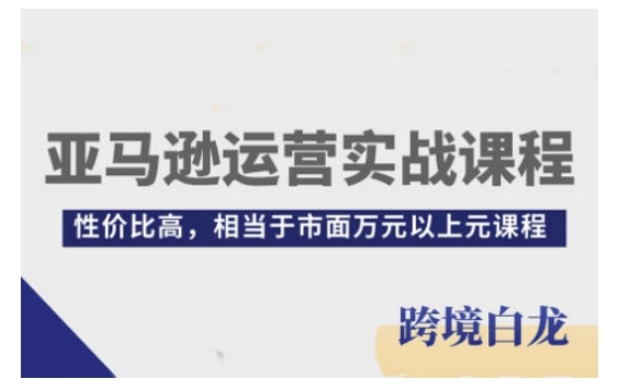 亚马逊运营实战课程，亚马逊从入门到精通，性价比高，相当于市面万元以上元课程 - 冒泡网赚