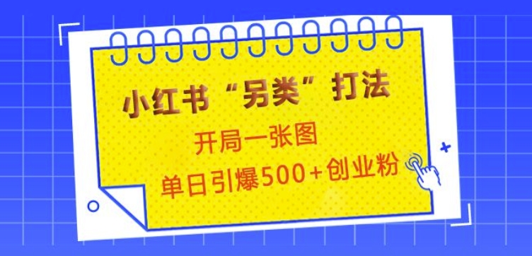 小红书“另类”打法，开局一张图，单日引爆500+精准创业粉 - 冒泡网赚