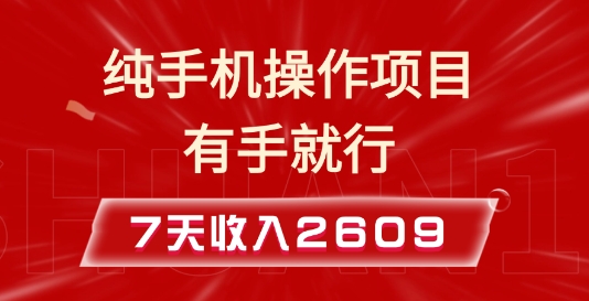 纯手机操作的小项目，有手就能做，7天收入2609+实操教程 - 冒泡网赚