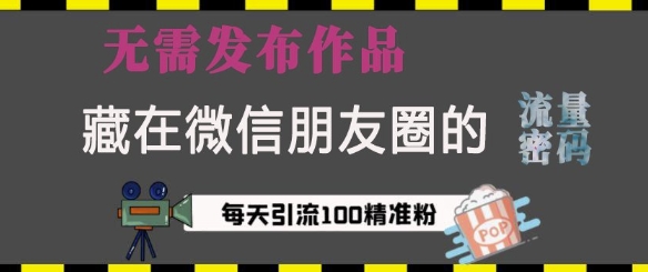 藏在微信朋友圈的流量密码，无需发布作品，单日引流100+精准创业粉 - 冒泡网赚