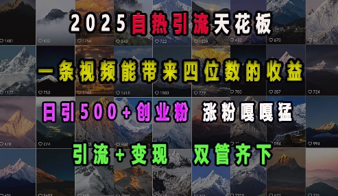 2025自热引流天花板，一条视频能带来四位数的收益，引流+变现双管齐下，日引500+创业粉，涨粉嘎嘎猛 - 冒泡网赚