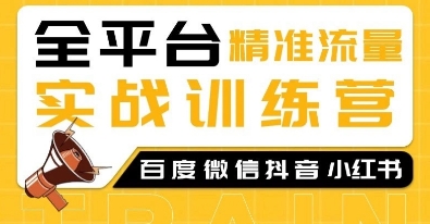 全平台精准流量实战训练营，百度微信抖音小红书SEO引流教程 - 冒泡网赚