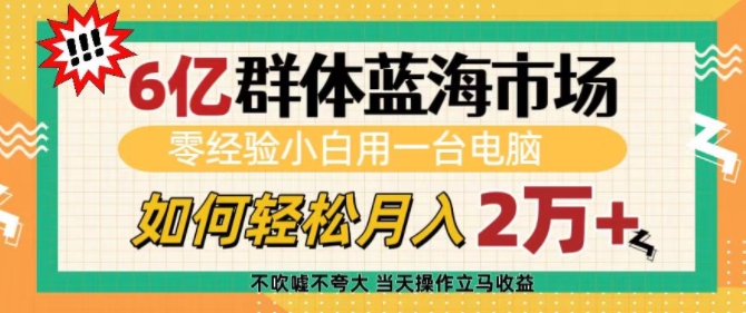 6亿群体蓝海市场，零经验小白用一台电脑，如何轻松月入过w - 冒泡网赚